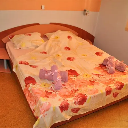 House Dimitrovi Guest house