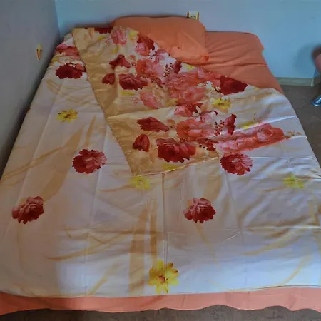 Guest house House Dimitrovi