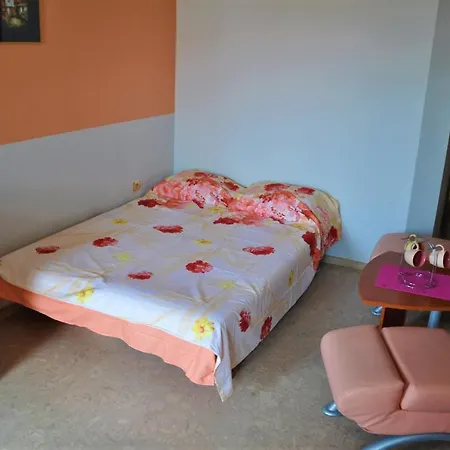 Guest house House Dimitrovi 3*